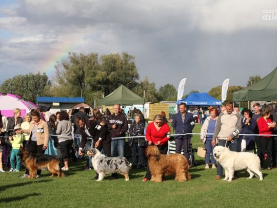 Wystawa psów Iłża ( 9 czerwca)