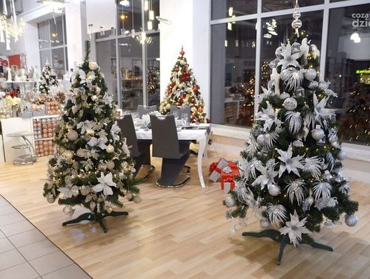 Świąteczna oferta salonu meblowego Midas