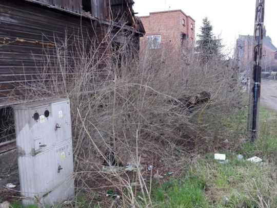 Dzikie wysypisko przy Parkowej