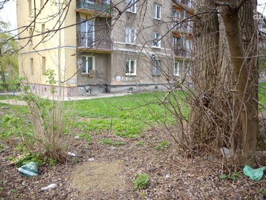 Zaśmiecony teren wokół bloków przy Struga i Filtrowej