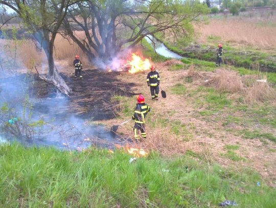 Pożar traw Nad Potokiem
