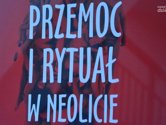 Wystawa "Przemoc i rytuał w neolicie"
