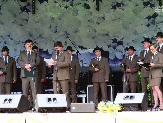 Święto Polskiej Niezapominajki