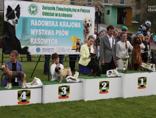 Krajowa wystawa psów rasowych w Iłży