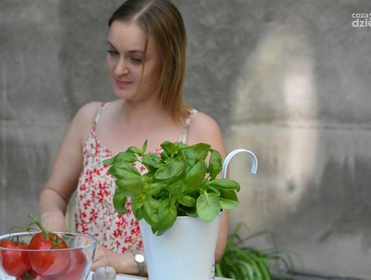 Znajomi Radomianki. Zaprasza "Czosnek w Pomidorach" Znajomi Radomianki. Zaprasza "Czosnek w Pomidorach"