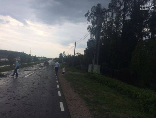 Jedlanka. Skutki wichury Jedlanka. Skutki wichury