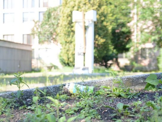 Zaniedbany pomnik Zaniedbany pomnik