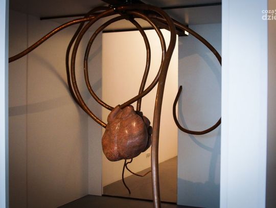 Wystawa Jenny Brockmann „Widzialne i doświadczalne”