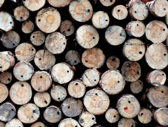 Sierpień w obiektywie