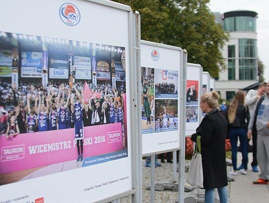 Koszykarska kronika "Fiołka"