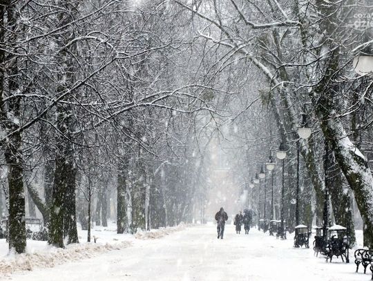 Co Za Spacer! - Zima w Parku Kościuszki