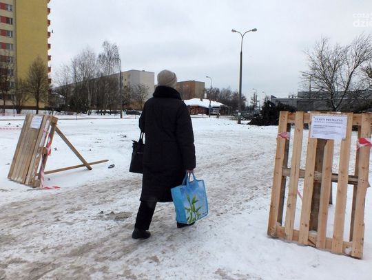 Wycięte drzewa na os. Michałów