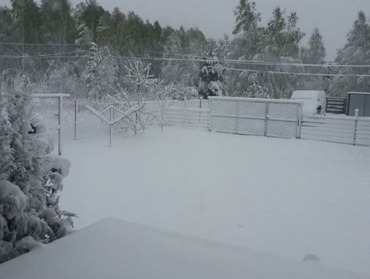 Powrót zimy okiem czytelników