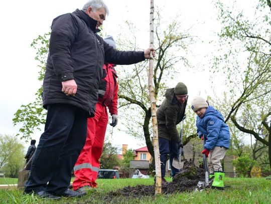 "Zielone płuca dla Ustronia"