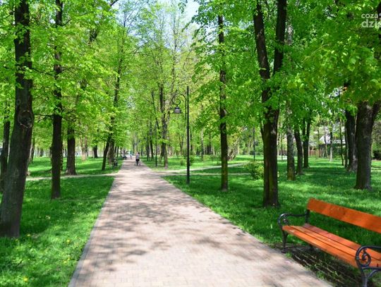 Przebłyski wiosny okiem Joanny Gołąbek