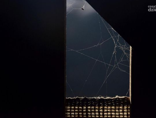 „Krajobrazy polskie. Światło w krajobrazie” - nagrodzone zdjęcia