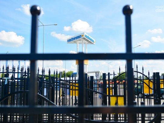 Akcja ogrodzenia w Castoramie Akcja ogrodzenia w Castoramie