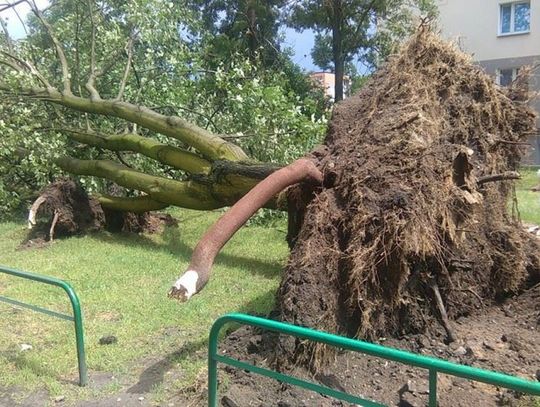 Skutki burzy nad Radomiem i okolicą