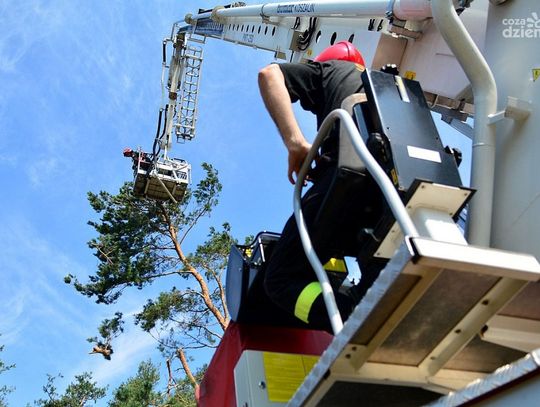 Skutki nocnej burzy Skutki nocnej burzy