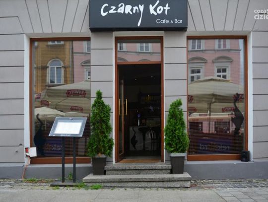 Czarny Kot w niebieskich barwach - co za zmiana