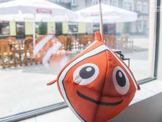 Tu Jest Nemo