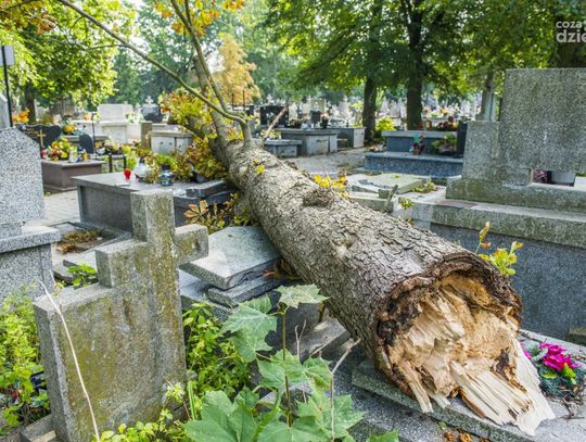 Skutki burzy na cmentarzu przy ul. Limanowskiego Skutki burzy na cmentarzu przy ul. Limanowskiego