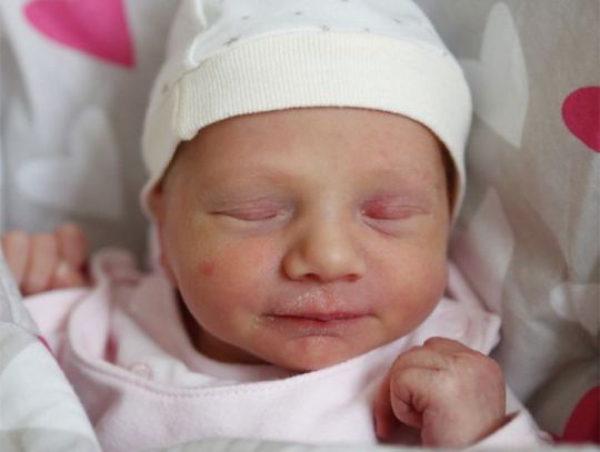 Zdjęcia dzieci z 22 listopada