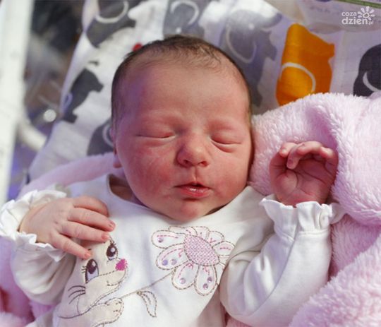 Zdjęcia dzieci z 27 listopada Zdjęcia dzieci z 27 listopada