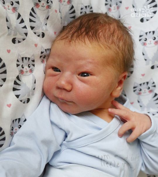 Zdjęcia dzieci z 6 grudnia Zdjęcia dzieci z 6 grudnia