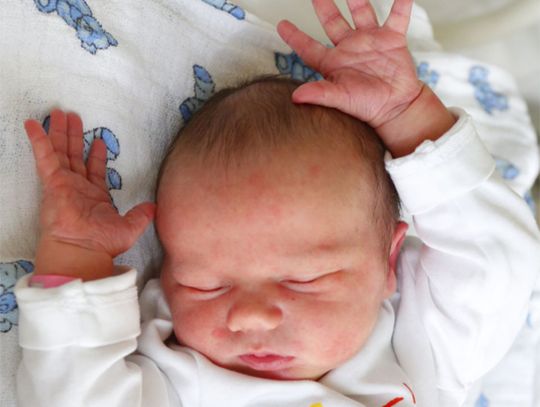 Zdjęcia dzieci z 12 grudnia Zdjęcia dzieci z 12 grudnia