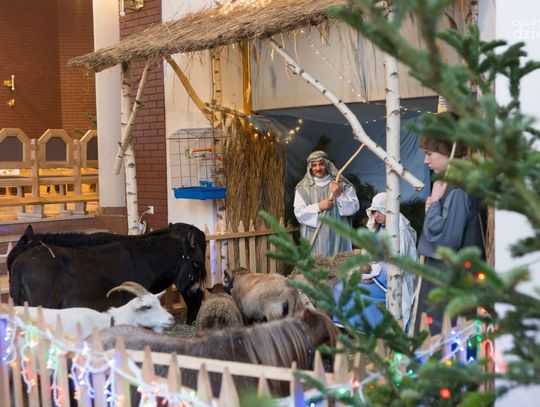Żywa szopka w kościele pod wezwaniem świętego Łukasza na osiedlu Michałów Żywa szopka w kościele pod wezwaniem świętego Łukasza na osiedlu Michałów
