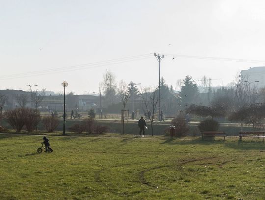 Słoneczny zimowy dzień w radomskich parkach