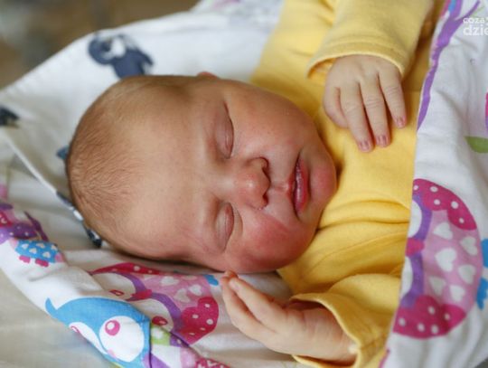 Najmłodsi Radomianie - zdjęcia dzieci ur. 13 grudnia