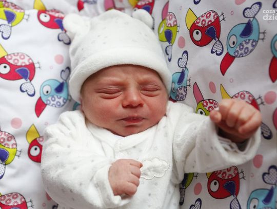 Najmłodsi Radomianie - zdjęcia dzieci ur. 13 grudnia