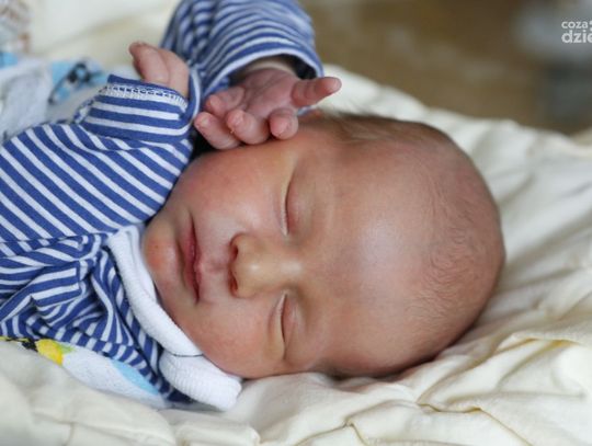 Najmłodsi Radomianie - zdjęcia dzieci ur. 13 grudnia