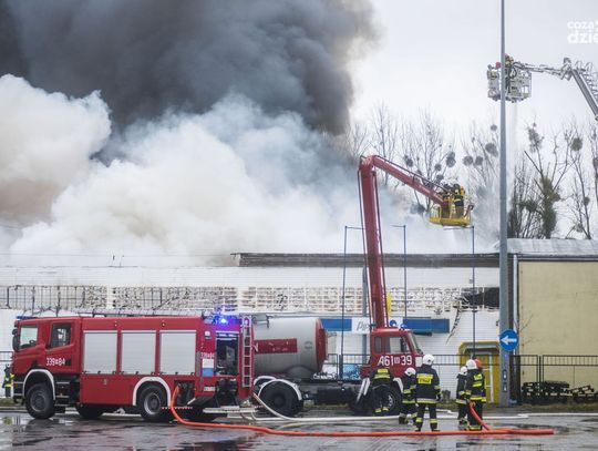 10 najchętniej czytanych tekstów w 2017 roku