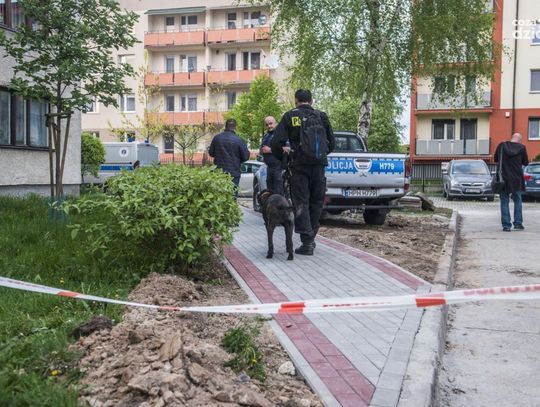 10 najchętniej czytanych tekstów w 2017 roku