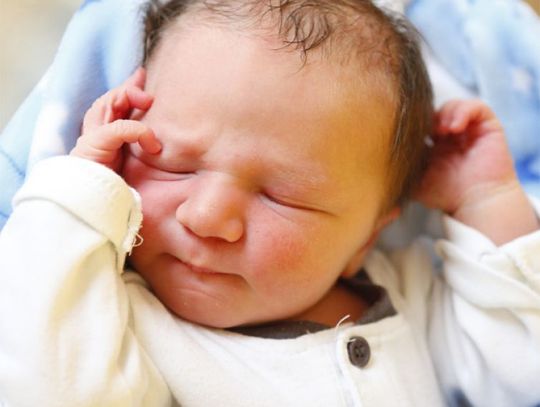 Najmłodsi Radomianie - zdjęcia dzieci ur. 20 grudnia