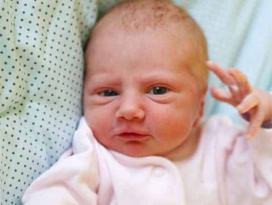 Najmłodsi Radomianie - zdjęcia dzieci ur. 20 grudnia