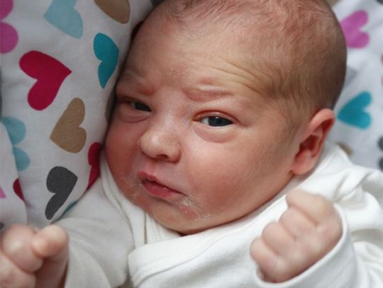 Najmłodsi Radomianie - zdjęcia dzieci ur. 31 grudnia