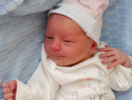 Najmłodsi Radomianie - zdjęcia dzieci ur. 5 stycznia Najmłodsi Radomianie - zdjęcia dzieci ur. 5 stycznia