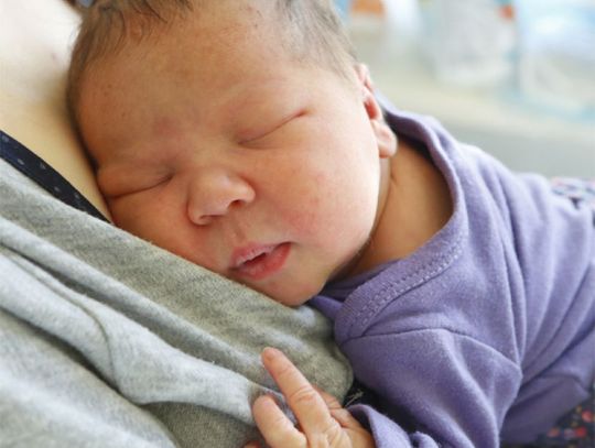 Najmłodsi Radomianie - zdjęcia dzieci ur. 5 stycznia Najmłodsi Radomianie - zdjęcia dzieci ur. 5 stycznia