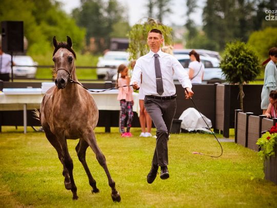 RADOM GÓRĄ! Najlepsze radomskie imprezy