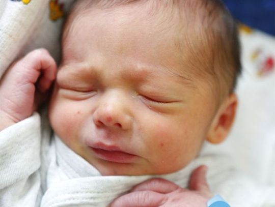 Najmłodsi Radomianie - zdjęcia dzieci ur. 24 stycznia