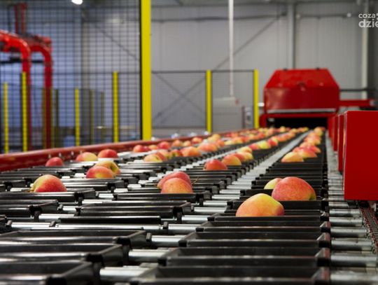 RADOM GÓRĄ! Znane radomskie firmy cz. II