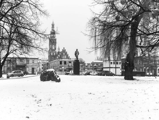 Zima w czerni i bieli