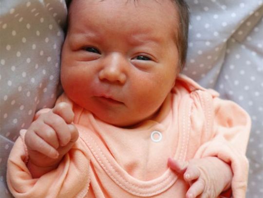 Najmłodsi radomianie - zdjęcia dzieci ur. 29 stycznia Najmłodsi radomianie - zdjęcia dzieci ur. 29 stycznia