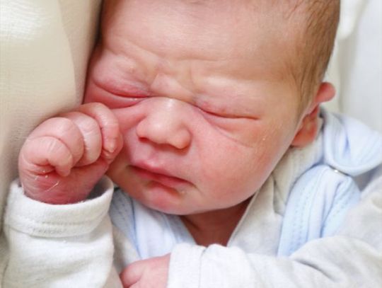 Najmłodsi radomianie - zdjęcia dzieci ur. 31 stycznia