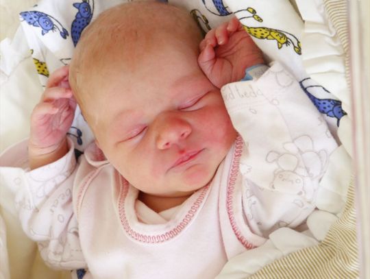 Najmłodsi radomianie - zdjęcia dzieci ur. 31 stycznia