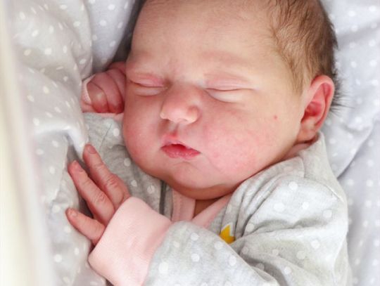 Najmłodsi radomianie - zdjęcia dzieci ur. 7 lutego